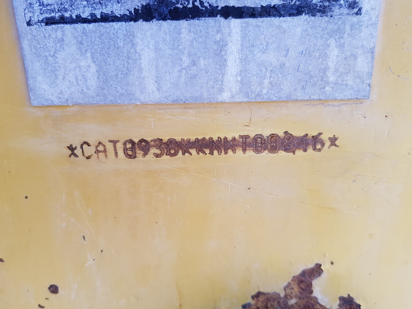 ZM008963_16.jpg